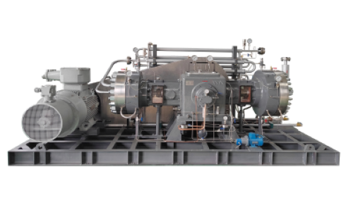 C6 Diaphragm Compressor